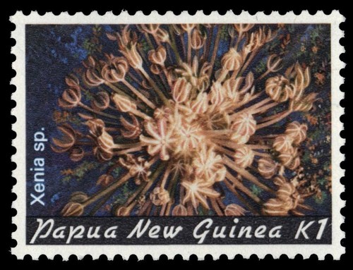 Papua new guinea 569 - new,