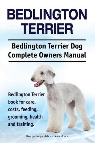 Bedlington terrier - terrier.,
