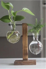 Creative Glass Desktop Planter