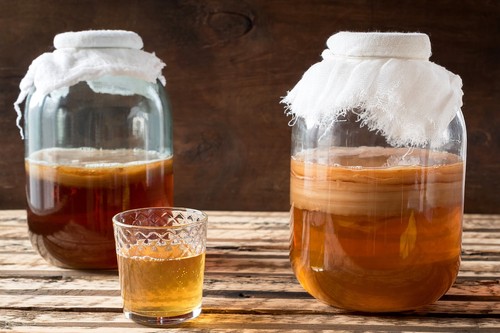 Organic kombucha starter with - kombucha,