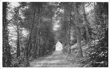 uk3097 among the pines north hill minehead somerset real photo uk