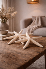Natural Dried Starfish Decor