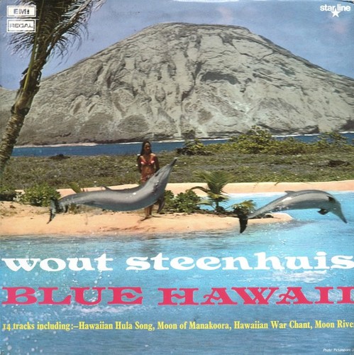 Wout steenhuis blue hawaii - -,