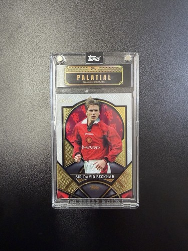 Sir david beckham topps - david, man