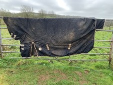 Derby House Combo (with neck)