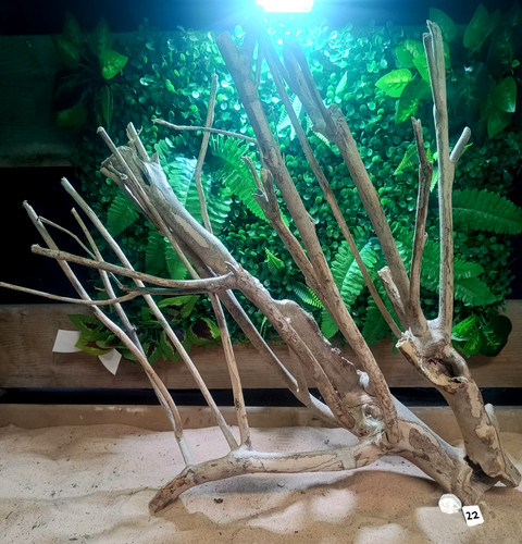 Talawa wood aquascaping - wood,