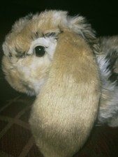 Living Nature Dutch Lop Eared