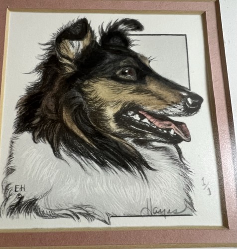 Vtg framed sheltie collie - vtg,