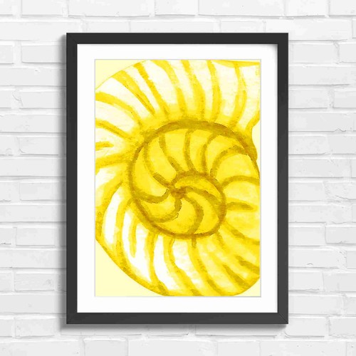 Blue watercolor nautilus shell - watercolor,
