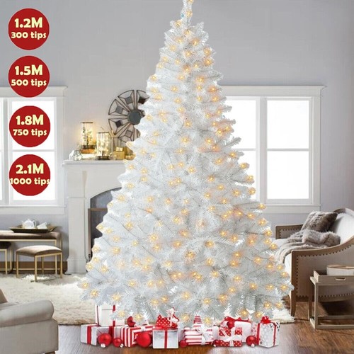 Christmas tree with lights - tree,