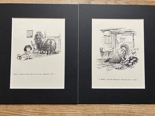 Thelwell black and - thelwell,