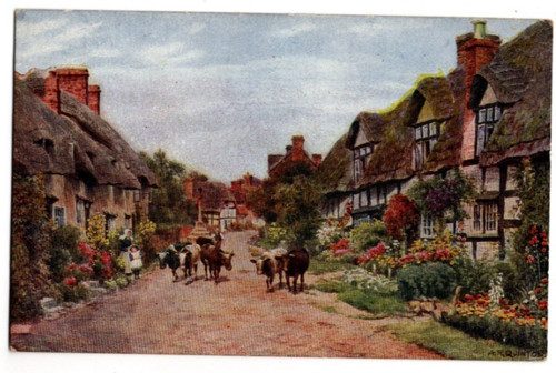 Quinton village wyre - ar,