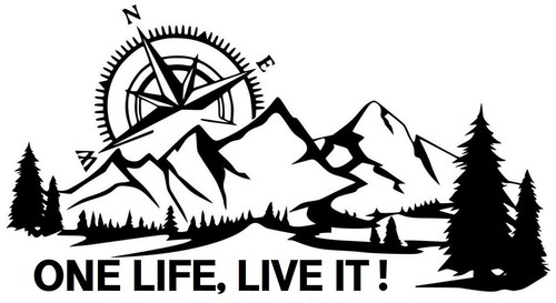 Massive camper van decal - 42",