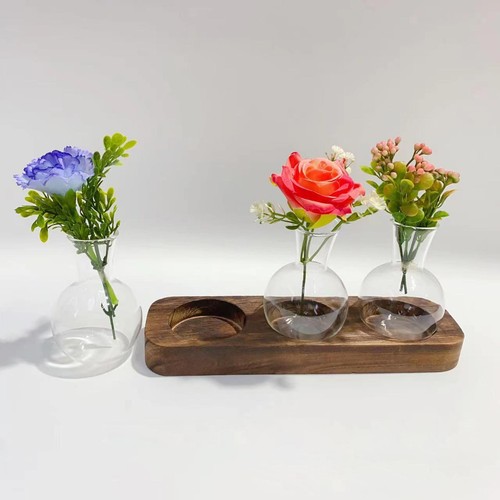 Hydroponic plant vases - plant,