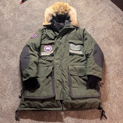 Canada goose snow - canada, goose/snow