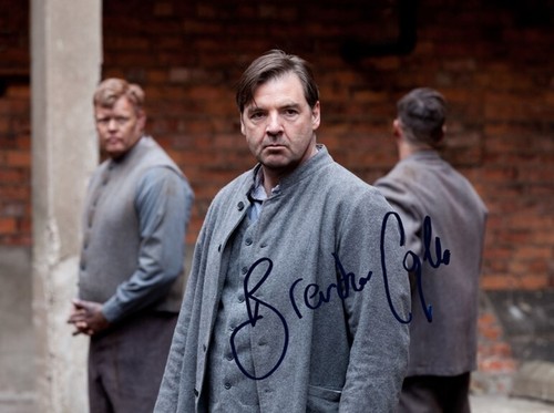 Downton abbey brendan - downton,