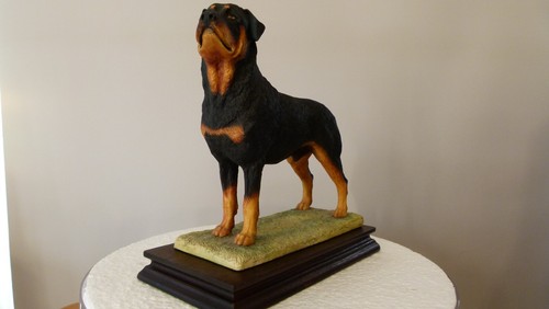 Border fine arts rottweiler - border,