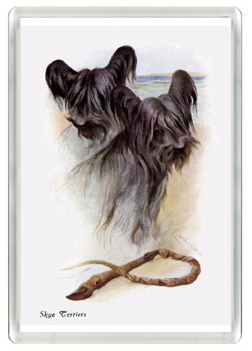 Skye terrier dog fridge - dog, magnet