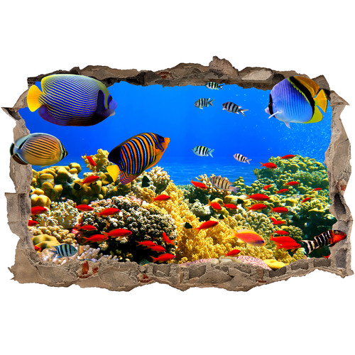 Underwater ocean wall sticker - underwater,