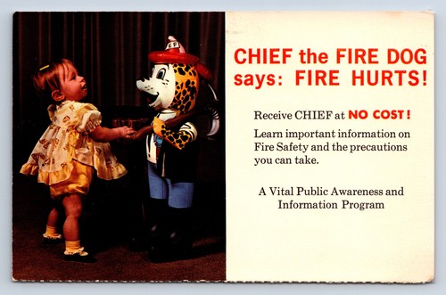 Vintage postcard chief the - chief,