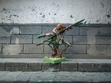 wood elf woven mist wardancer metal painted warhammer fantasy