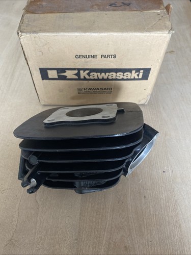 Genuine kawasaki kx80 - genuine, cylinder