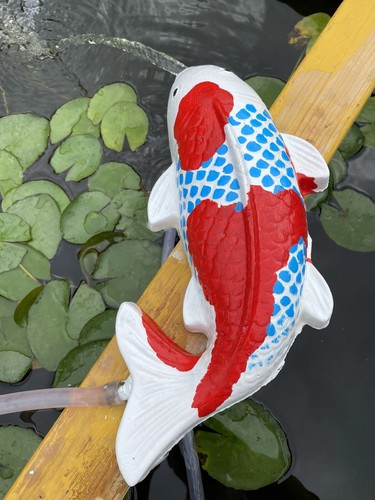 Concrete goshiki koi fish - 12"concrete,