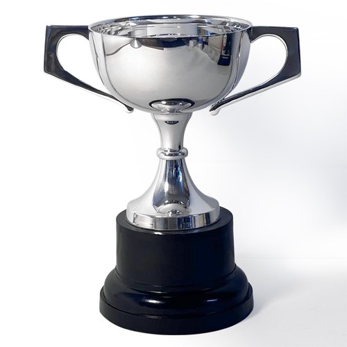 18cm silver trophy cup - 18cm,