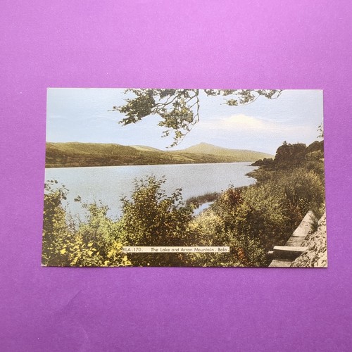 Vintage postcard the lake and - vintage,