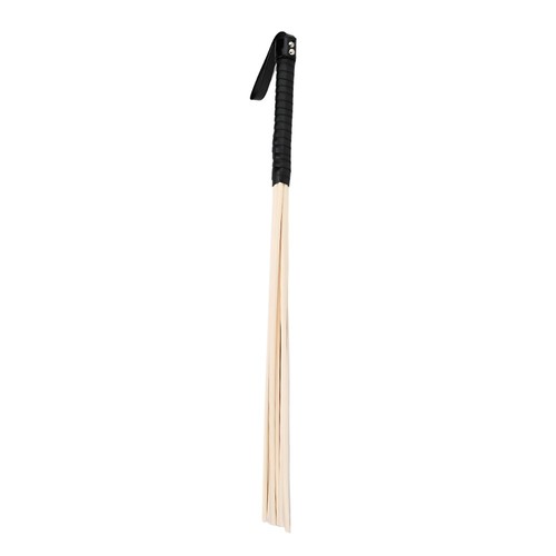 Adult toy whip bound - whip,