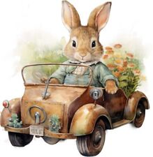 Colourful Peter Rabbit Flower