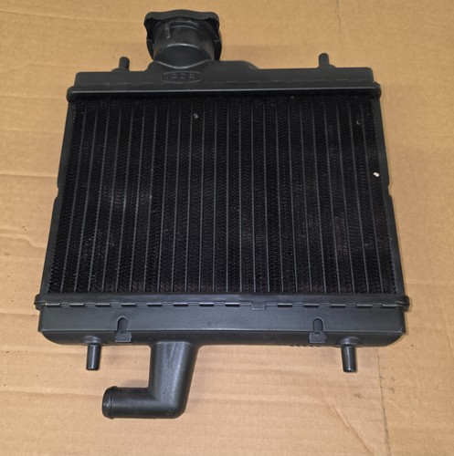 Honda ns125 radiator - ns125,