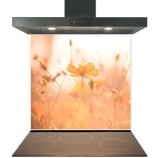 Kitchen Glass Splashback
