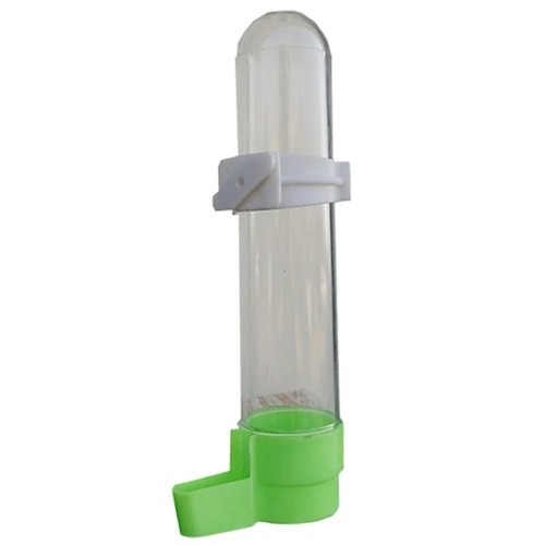 Bird water feeder - bird,