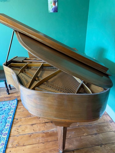 Monington weston baby grand - baby,
