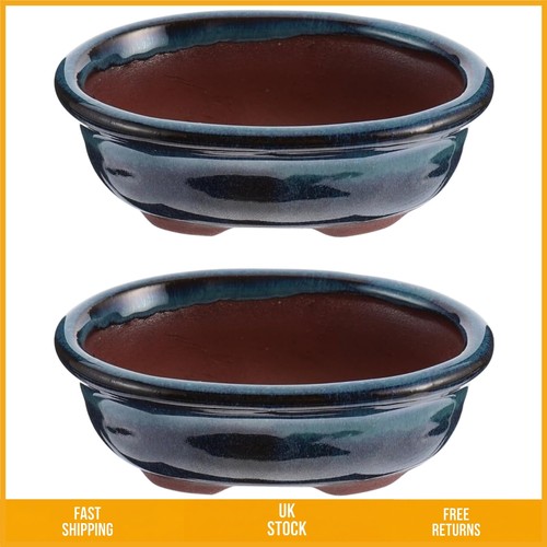 Charming glazed ceramic bonsai - ceramic,