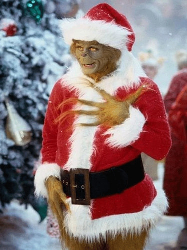 Stolen christmas holiday - stolen,
