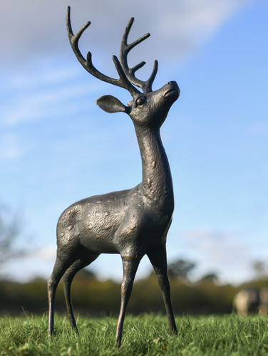 Woodland deer stag garden - deer,