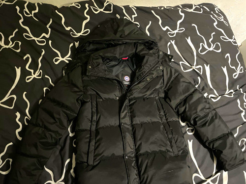 Canada goose arctic - goose,