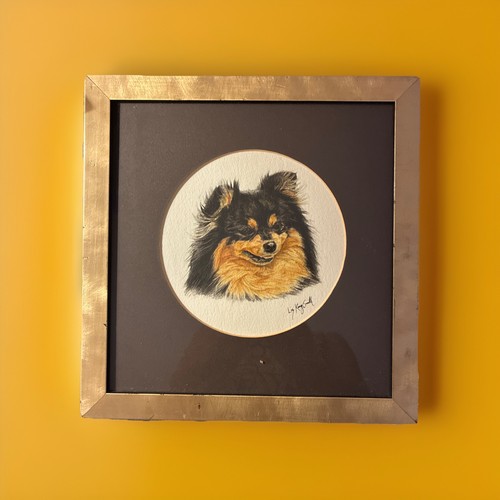 Pomeranian dog framed - ,