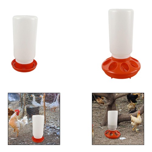 Chick feeder and waterer kits - feeder,