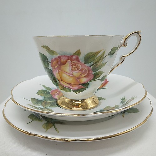 Paragon six world famous roses - paragon,