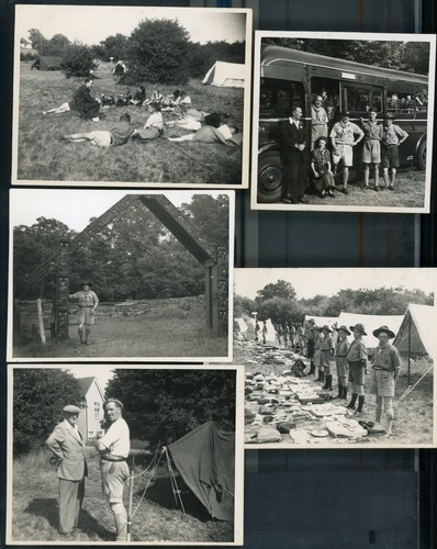 Scouts cubs 9 - :,