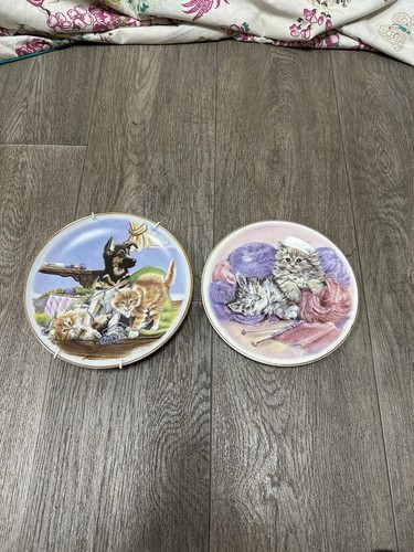 Cat kitten plates - kitten,