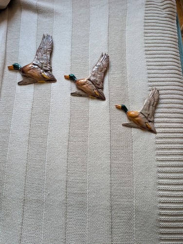Midwinter flying ducks - flying, vgc