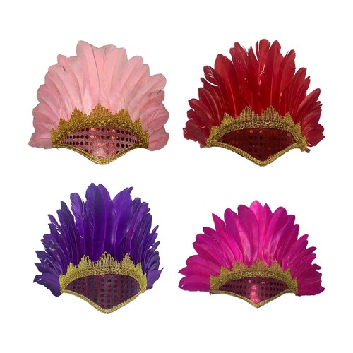 Feather headdress costume - feather,