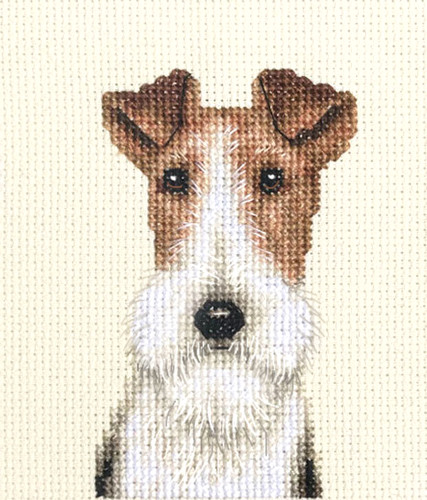Wire fox terrier dog - fox, dog,