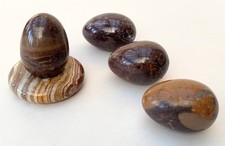 Four Fossil Stone Polished