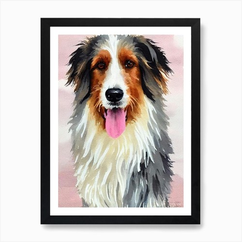 Polish lowland sheepdog - lowland,