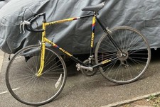 Team Raleigh Banana Team